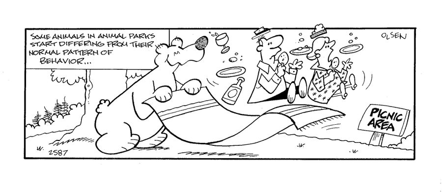 'Some animals in animal parks start differing from their normal pattern of behavior...'