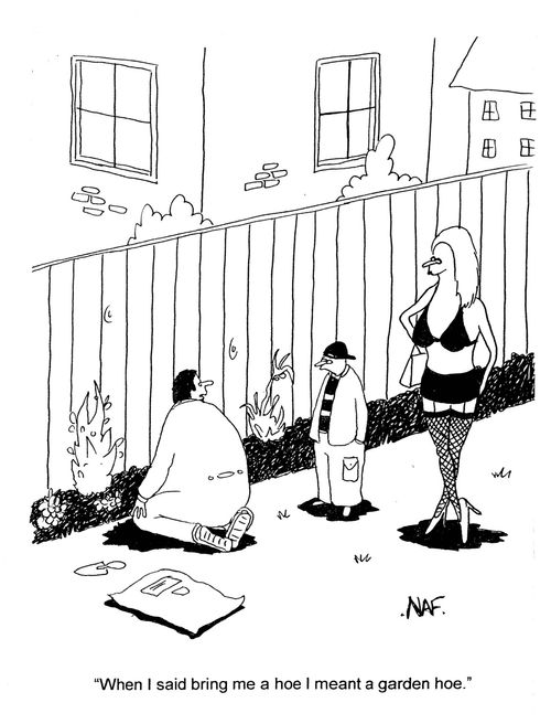 'When I said bring me a hoe I meant a garden hoe.'