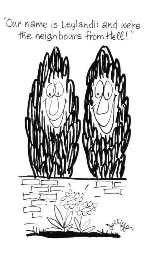 'Our name is Leylandii and we're the neighbours from Hell!'