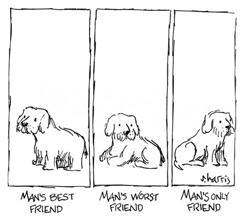 Man's best friend / Man's Worst Friend / Man's Only Friend
