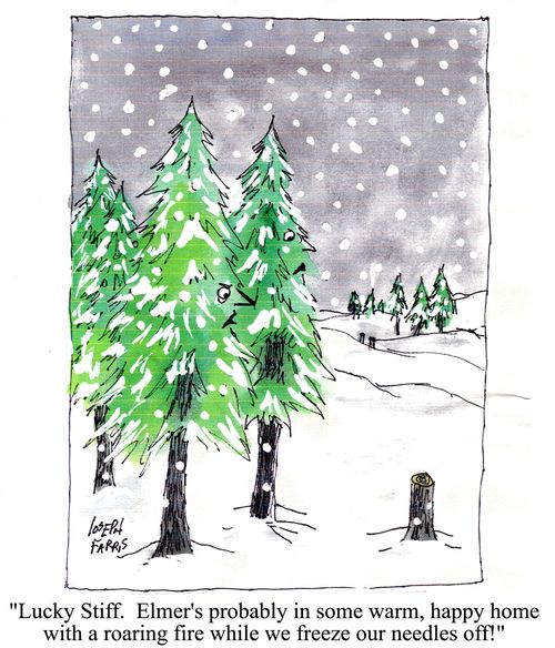 Complaining fir tree