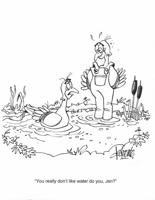'You really don't like water do you, Jen?'