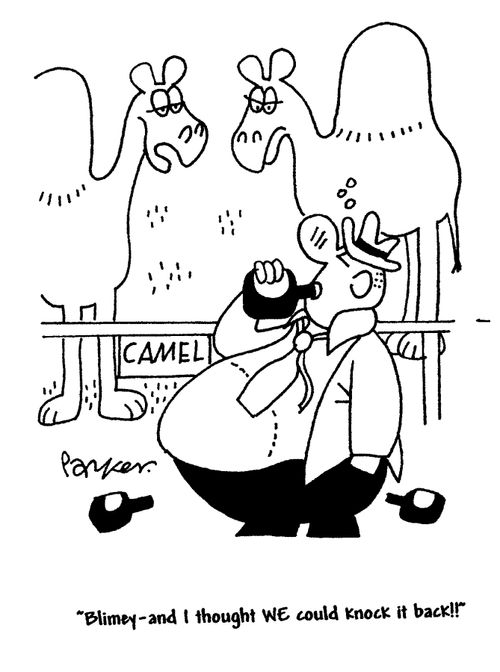 'Blimey - and I thought WE could knock it back!'