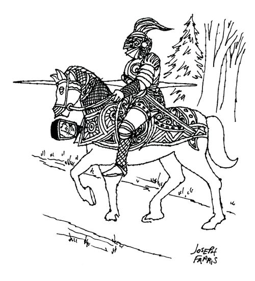 Knights Wing Mirrors.