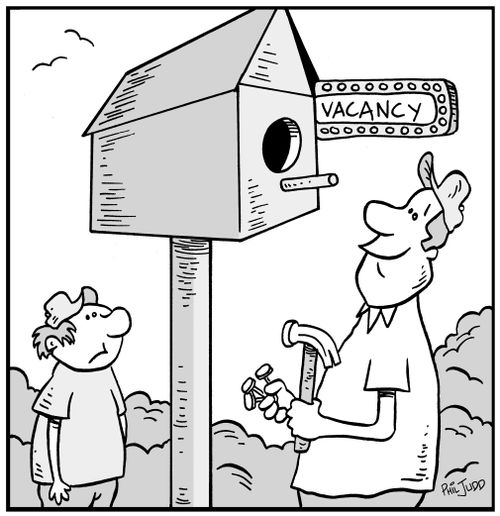 Man and boy looking at a birdhouse they have just built. It has a vacancy sign outside it like a motel.