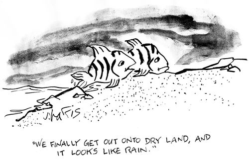 'We finally get out onto dry land, and it looks like rain'