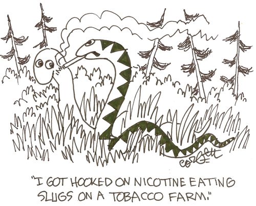 'I got hooked on nicotine eating slugs on a tobacco farm.'