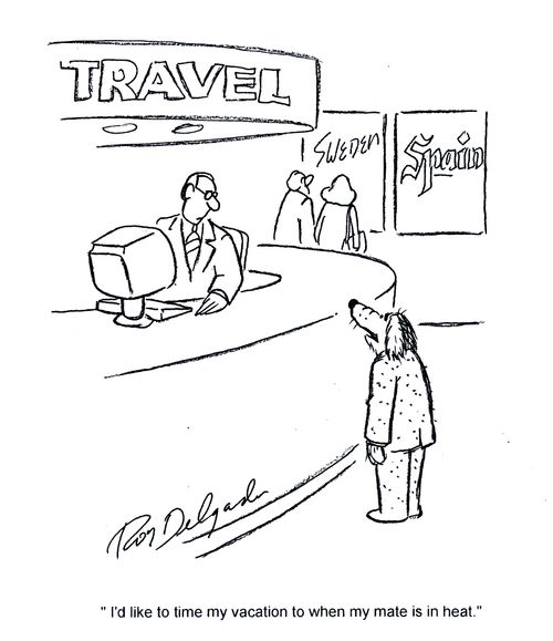 'I'd like to time my vacation to when my mate is in heat.'