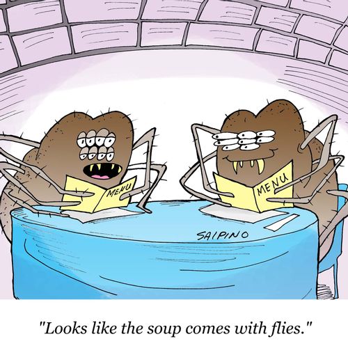 'Looks like the soup comes with flies.'