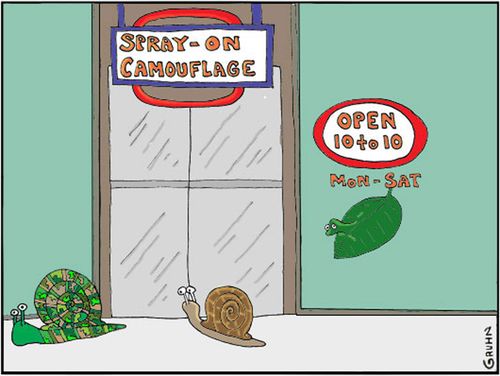 Spray on Camouflage