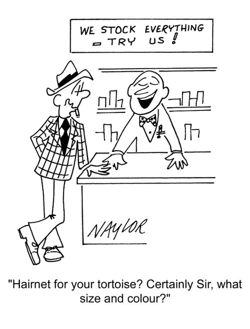 Hairnet for your tortoise? Certainly, sir, what size and colour?
