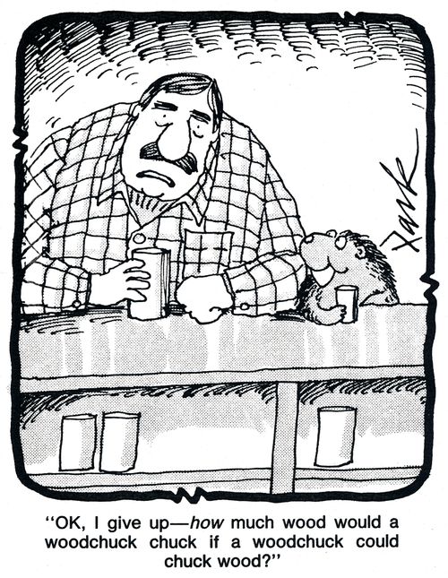 'OK, I give up - how much wood would a woodchuck chuck if a woodchuck could chuck wood?'