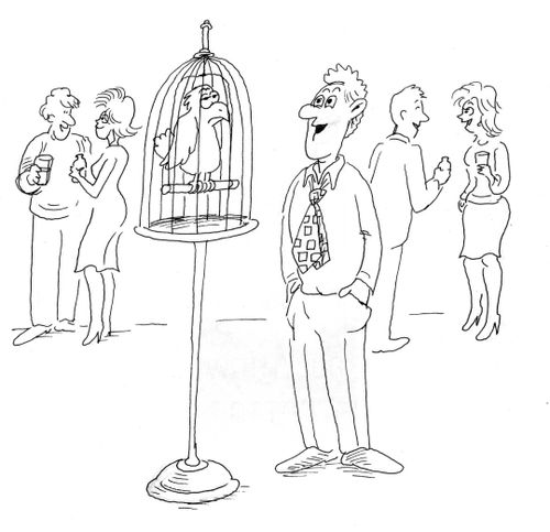 bird cage