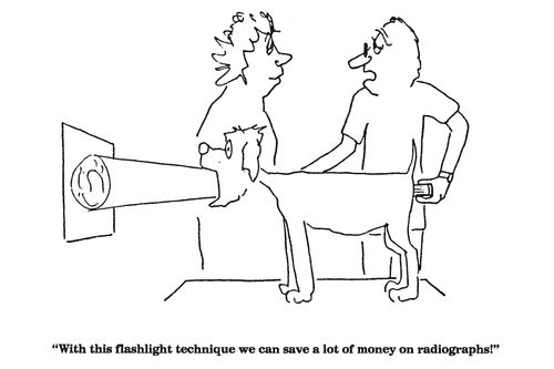 'With this flashlight technique we can save a lot of money on radiographs!'