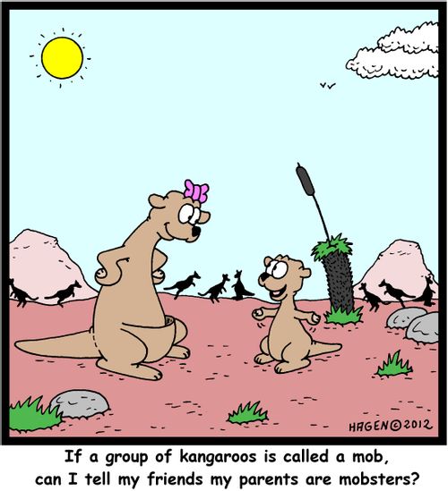 'If a group of kangaroos is called a mob, can I tell my friends my parents are mobsters?'