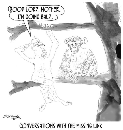 Conversations With The Missing Link.