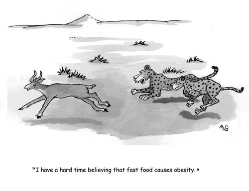 'I have a hard time believing that fast food causes obesity.'