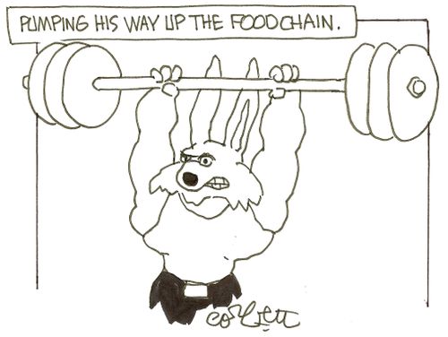 'Pumping his way up the food chain'