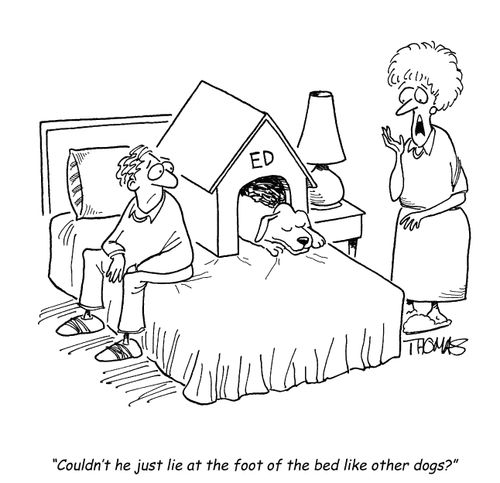 'Couldn't he just lie at the foot of the bed like other dogs?'