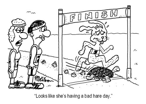 'Looks like she's having a bad hare day.'