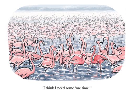 'I think I need some me time.'