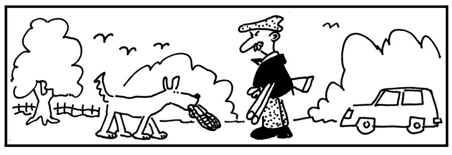 Dog retrieves slippers instead of birds.