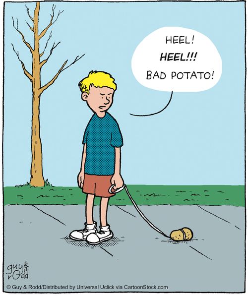 'Heel! HEEL! Bad potato!'