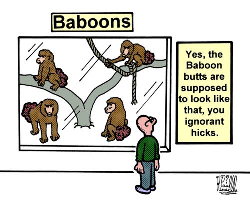 'Yes, the baboon butts are supposed to look like that, you ignorant hicks.' 