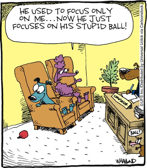 'He used to focus only on me... now he just focuses on his stupid ball!'