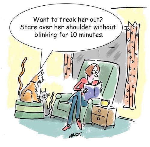 'Want to freak her out? Stare over her shoulder without blinking for 10 minutes.'