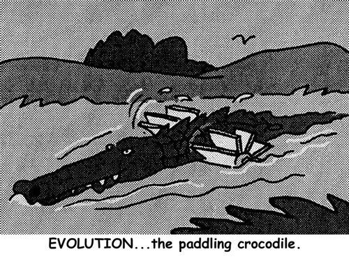 Evolution...the paddling crocodile.