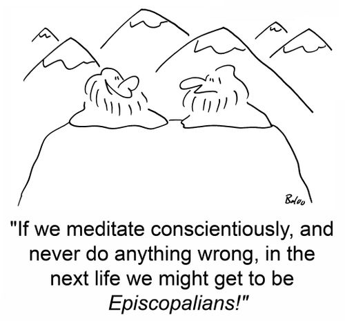 'If we meditate conscientiously, and never do anything wrong, in the next life we might get to be Episcopalians!'