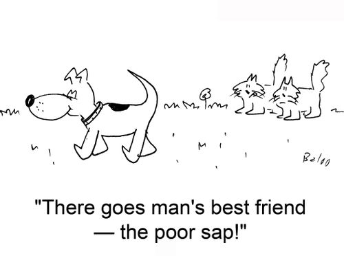 'There goes man's best friend — the poor sap!'