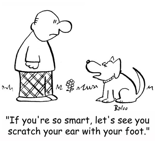 'If you're so smart, let's see you scratch your ear with your foot.'
