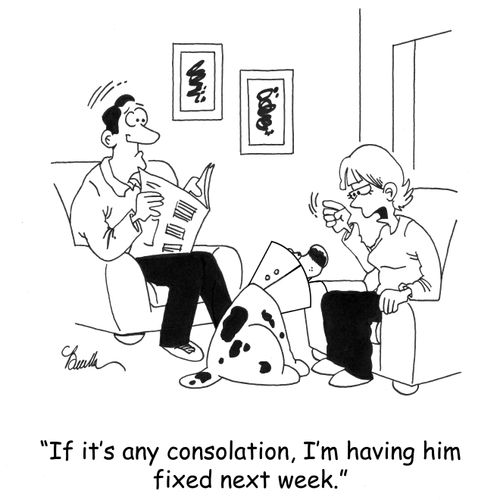 'If it's any consolation, I'm having him fixed next week.'