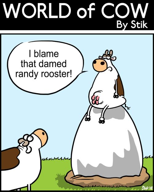 I blame that randy rooster!