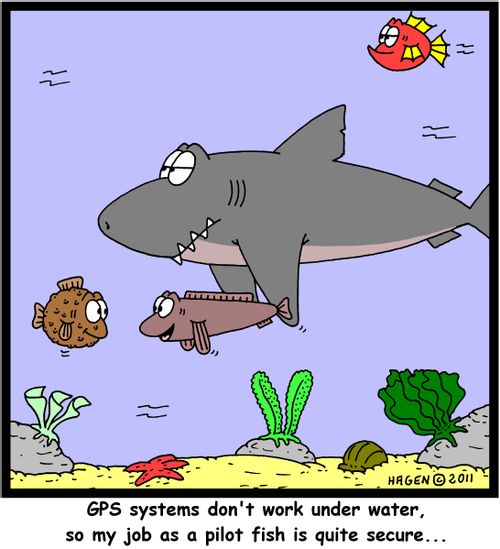 'GPS systems don't work under water, so my job as a pilot fish is quite secure...'