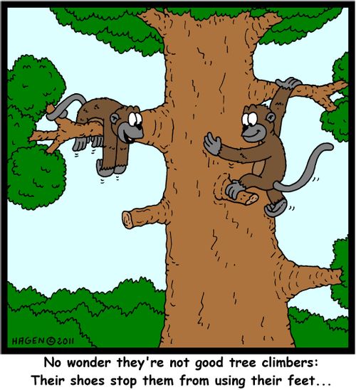 'No wonder they're not good tree climbers: Their shoes stop them from using their feet...'