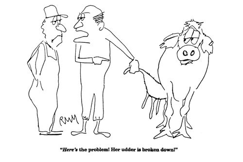 'Here's the problem! Her udder is broker down!'