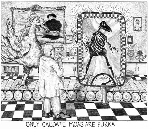 'Only caudate moas are pukka.'