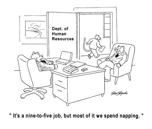 'It's a nine-to-five job, but most of it we spend napping.'