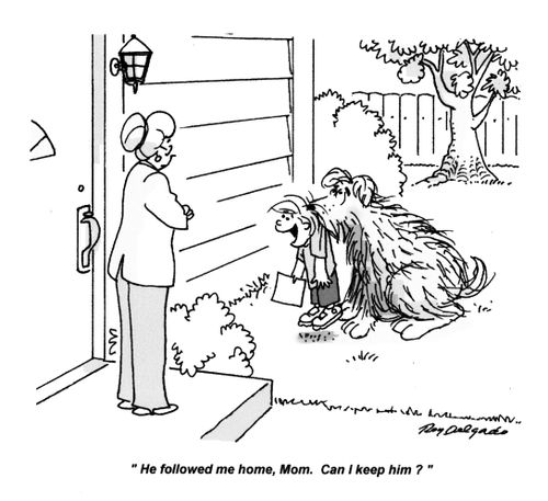 'He followed me home, Mom. Can I keep him?'