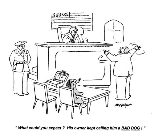 'What could you expect? His owner kept calling him a bad dog!'