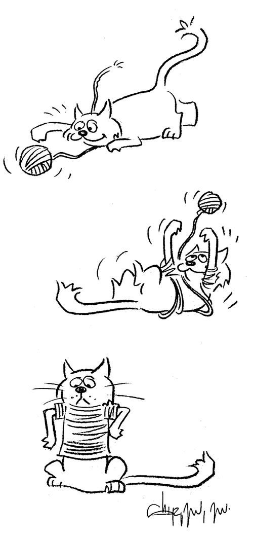 Cat making a jumper while playing with wool.