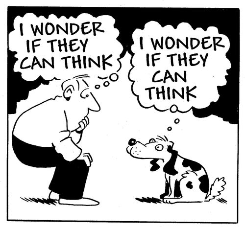 I Wonder if They can Think…