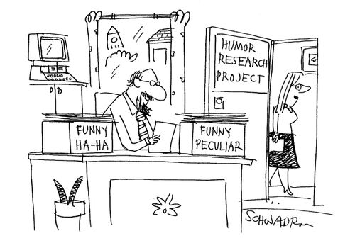 Humour research Project