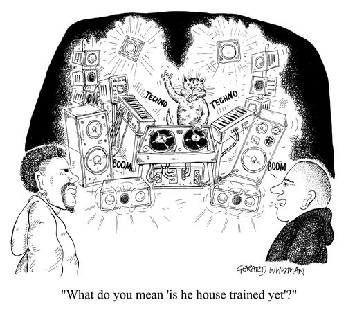 House trained cat