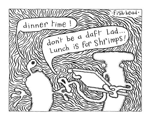 Lunch is for Shrimps