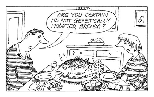 "Are you sure it's not genetically modified?"