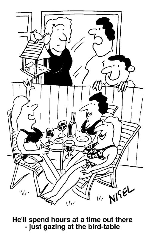 "He'll spend hours at a time out there, just gazing at  the bird table."